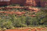 Red Rocks of Sedona