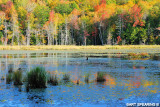 Autumn Reflection At Willie Wildlife Marsh