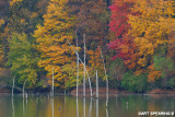 Middle Creek WMA Fall Foliage And Reflection