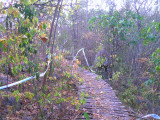 DSCN1310.JPG