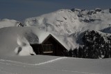 The Old Diamond Head Chalet