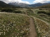 Torres del Paine Circuit