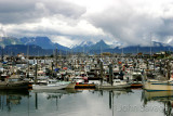 homer alaska harbor.jpg