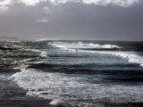 DSCF0871.jpg
