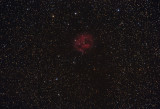 C19, Sh 2-125, IC 5146 and Barnard 168 The Cocoon Nebula