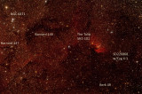 The Tulip Nebula Sh2-101, HD226868 (w/Cyg X-1) NGC 6871, B146, B147 1300 pixels