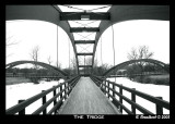 0tridge5x7.jpg