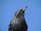DSC04602web.jpg