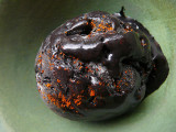 dark chocolate ice cream with cayenne pepper bits