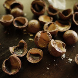 macadamia nut shells