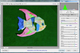 G9 fish-3.jpg