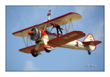 Wing Walkers - Le Luc 2009 - 9597