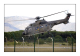 Puma Swiss Air Force - Le Luc 2009 - 9652