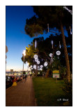 Promenade des Anglais  Nol - Nice - 2878