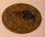 DSCF0241.JPG