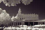 Full View - Infrared Image
