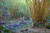 IMGP3679_edited-1.jpg