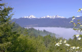 Hood Canal under the Fog
