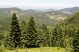 Inebolu june 2009 1880.jpg