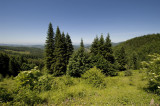 Inebolu june 2009 1918.jpg