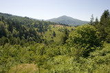Inebolu june 2009 1937.jpg
