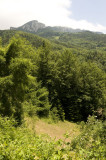 Inebolu june 2009 1705.jpg