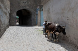 Diyarbakir June 2010 7887.jpg