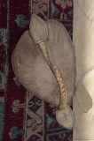 Konya At or near Mevlana Museum 2010 2566.jpg