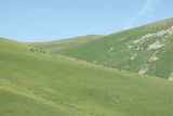 Kars to Artvin 3841b.jpg
