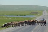 Kars to Artvin 3849.jpg