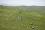 Kars to Artvin 3838.jpg