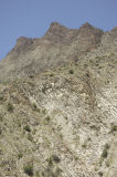 Kars to Artvin 3928.jpg