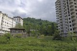 Rize 4343.jpg