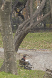 Istanbul dec 2007 1232.jpg