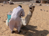 My Camel, who really wasnt in the mood to do this.  A loose saddle is not really a good way to ride a camel  :)