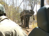Checking Us Out Some More