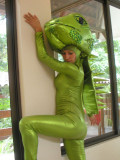  A Fashion Show Featuring the Butterflies and Reptiles of Costa Rica