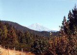 Mt. Shasta, 14,179