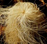 Macro2