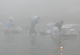 Launderers on the Ganges
