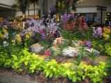 Singapore Airport orchid garden
