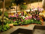 Singapore Airport flower garden