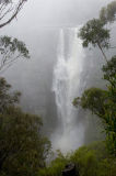 Carrington-Falls.jpg