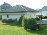 Garage with roses