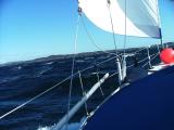 Running with the ocean - Viking Spirit