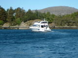 Chaia On the way to NordFjord and Svanoey