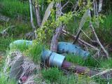 Power of the past-Eivindvik