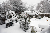 My garden covered in snow 2009 in Mossley