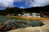 Charlotteville waterfront