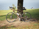 My Bike and some fauna at a local Lake.jpg
